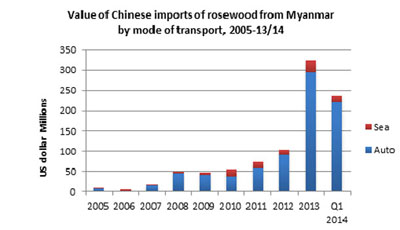 New research by EIA found that Chinese imports of illegally logged Burmese rosewood species is skyrocketing. (Graph: EIA) 