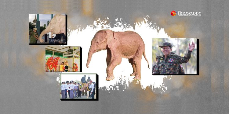 Rare white elephant captured in Myanmar - National