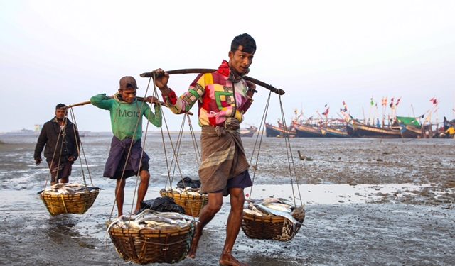 Rohingya Look on Arakan Army as Saviours in Fight With Myanmar s Junta